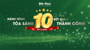 hành trình 10 năm