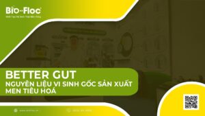 nguyên liệu vi sinh BETTER GUT