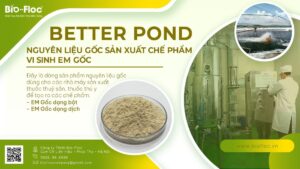 BETTER POND, sản xuất chế phẩm EM gốc