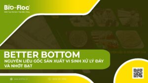 nguyên liệu BETTER BOTTOM