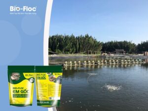 Chế phẩm EM Gốc dạng bột