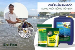 Chế phẩm EM Gốc