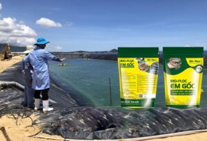 chế phẩm EM Gốc