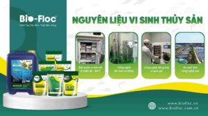 Chế phẩm vi sinh đối kháng mầm bệnh