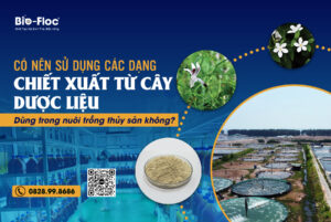 chiết xuất từ cây dược liệu
