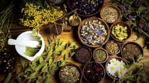 dược liệu chiết xuất