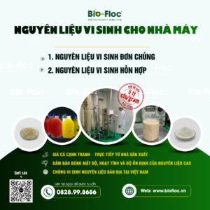 nguyên liệu vi sinh, vi sinh nguyên liệu, chế phẩm vi sinh