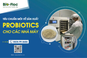 nguyên liệu vi sinh, nguyên liệu vi sinh mật độ cao