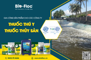 gia công sản phẩm vi sinh