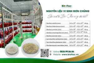 nguyên liệu vi sinh đơn chủng