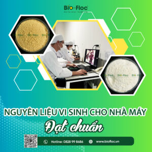 nguyên liệu vi sinh, nhà máy nguyên liệu vi sinh, nguyên liệu vi sinh cho nhà máy