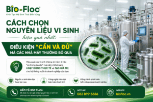nguyên liệu vi sinh, vi sinh nguyên liệu, bio-floc