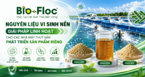 nguyên liệu vi sinh nền nguyên liệu vi sinh thủy sản vi sinh gốc cho nhà máy nguyên liệu vi sinh OEM nguyên liệu probiotic thủy sản nguyên liệu vi sinh mật độ cao nguyên liệu vi sinh Bacillus nguyên liệu xử lý môi trường thủy sản OEM vi sinh thủy sản Bio-Floc