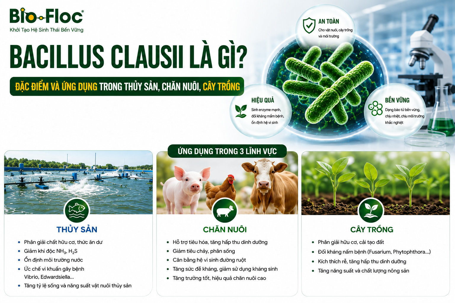 Bacillus clausii