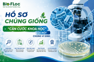 hồ sơ chủng giống vi sinh