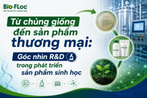 phát triển sản phẩm sinh học R&D vi sinh nghiên cứu chủng vi sinh OEM chế phẩm sinh học nguyên liệu vi sinh sản xuất chế phẩm sinh học