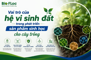 vi sinh đất hệ sinh thái đất vi sinh vật đất nguyên liệu vi sinh cho cây trồng phát triển sản phẩm sinh học cây trồng