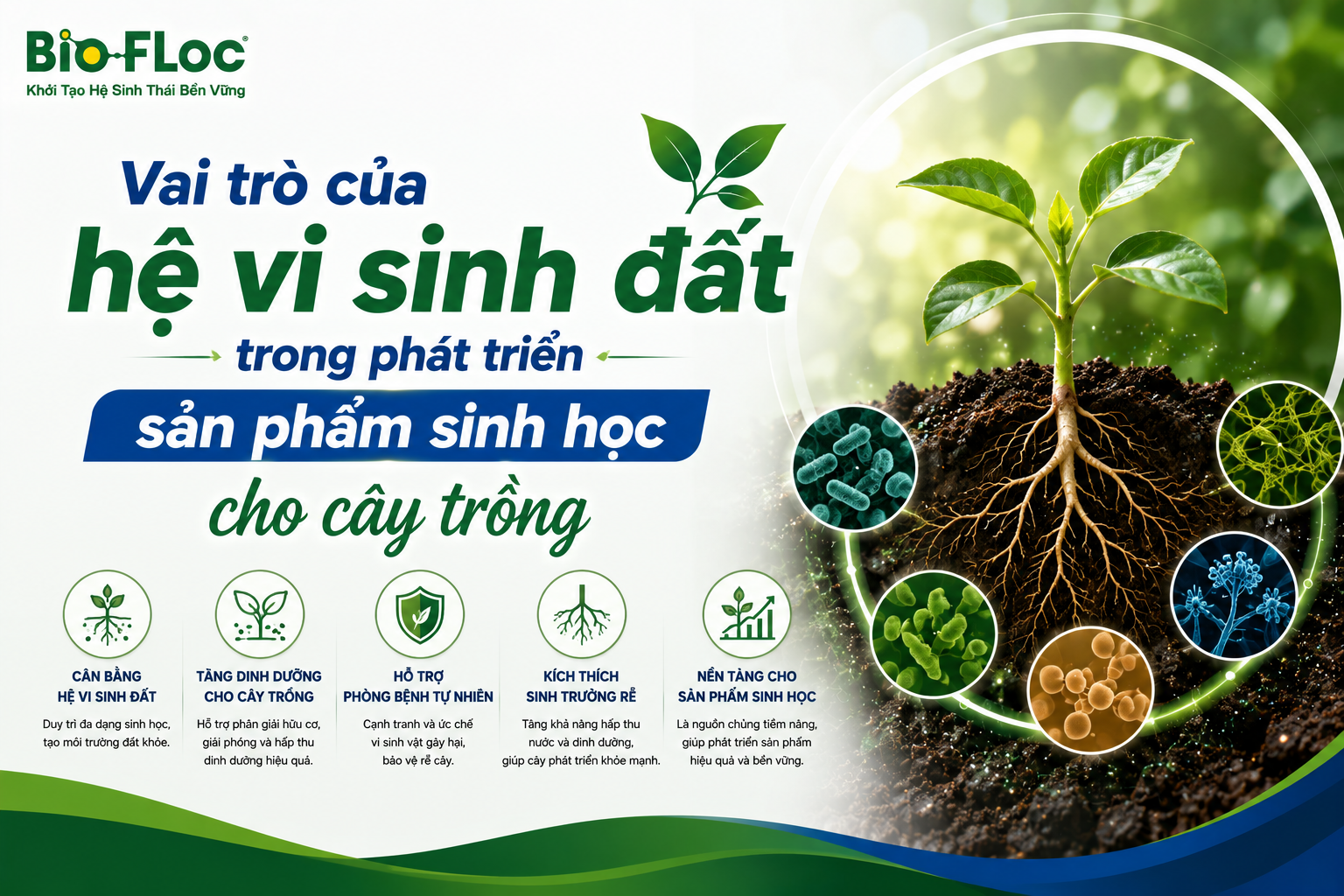 vi sinh đất hệ sinh thái đất vi sinh vật đất nguyên liệu vi sinh cho cây trồng phát triển sản phẩm sinh học cây trồng