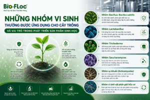 vi sinh cho cây trồng nguyên liệu vi sinh cây trồng chủng vi sinh cây trồng vi sinh vật có ích trong đất phát triển sản phẩm sinh học cây trồng