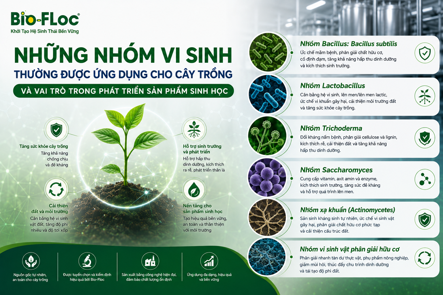 vi sinh cho cây trồng nguyên liệu vi sinh cây trồng chủng vi sinh cây trồng vi sinh vật có ích trong đất phát triển sản phẩm sinh học cây trồng